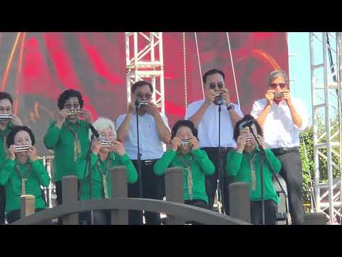 나주시중부노인복지관 하모니카 연주단 공연('나주 영산강 축제' ..