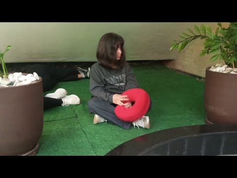 Mini vlog de Fortaleza Ceará até Santa Catarina palhoça