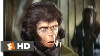 Planet of the Apes (2/5) Movie CLIP - Human See Hu