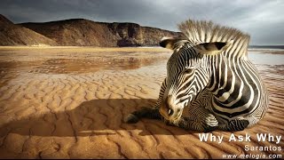 Sarantos Why Ask Why Official Music Video (no subtitles) - New Soft Rock Song