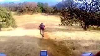 Moby Dick Downhill of Sonoma Mountain