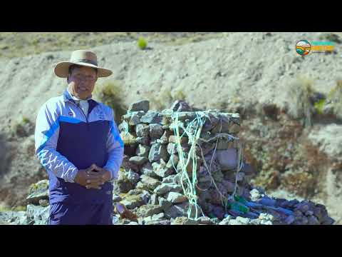 CORANI VIVO | DOCUMENTAL