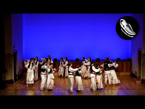 New Zealand Dalmatian Kolo | Folklore Showcase 2024