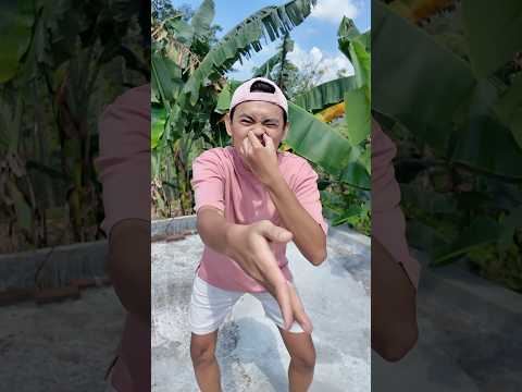 Kucing Kicau Mania Wiska Dulu 😺