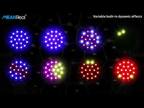 B-Eye 4019 K15 Demo #stagelights #stagelighting