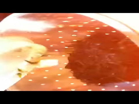 Hash Oil Fail!!! House On Fire!!!!