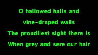 Dear Old Shiz Wicked