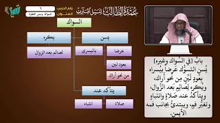 06 السواك وخصال الفطرة شرح عمدة الطالب للشيخ أحمد بن ناصر القعيمي image