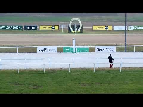 2017.11.25. 4. futam - Agár futam