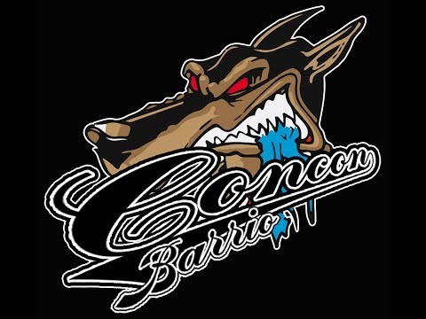 4.- CONCON BARRIO - ECDISIS