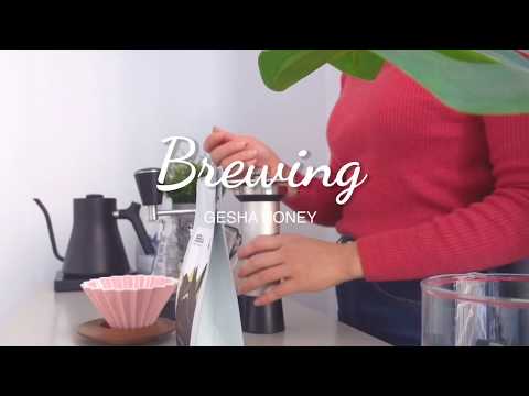 Brewing with Origami Dripper & Kinu Grinder