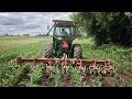 Cultivating - Farming the old fashioned way
