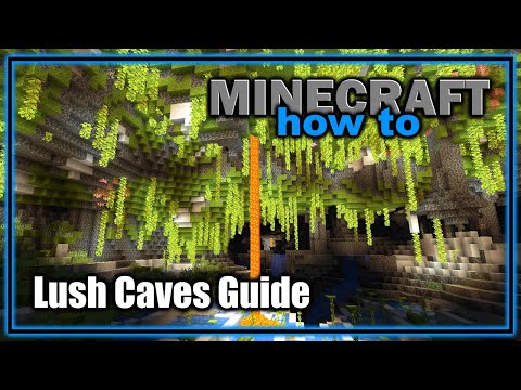 Everything About the Lush Caves Biome! (1.18+) | Minecraft Biome Guide
