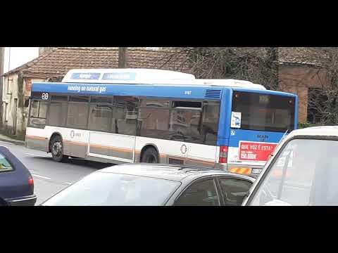 STCP No Linha 805 Veículos 3166, 3167,