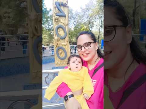 Rajiv Gandhi zoological park #music #beach #love #travel #edm #viralshort #cutebaby