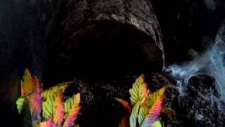 another of shakira the tarantula