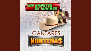 Paso Del Norte