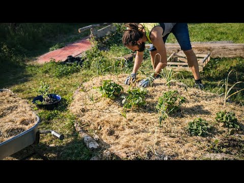 Schöpferkraft Classics: 1. Gartenjahr (2018), Episoden 41-50