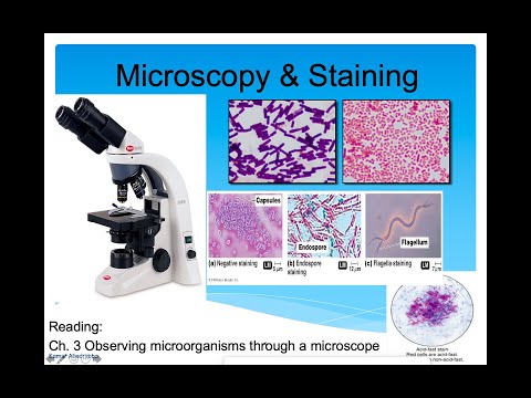 Introduction to Microbiology Lecture, Microscopy & Staining (Part 2)