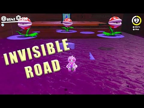 Wooded Kingdom Invisible Road - Super Mario Odyssey