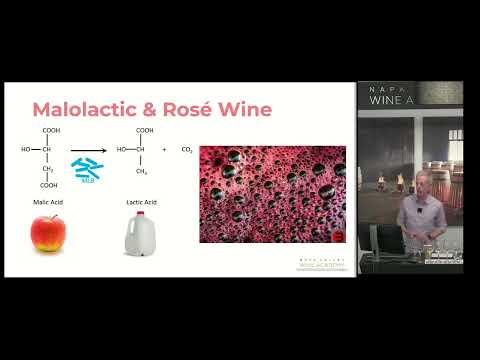 Malolactic & Rosé wine - Rosé Master Class with Peter Marks - Napa Valley Wine Academy