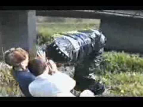 The Best of Z.F. SKURCZ