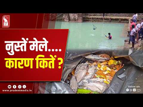 Kapleshwari Lake fish deaths trigger pollution alarm