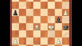 ChessBeauty #44