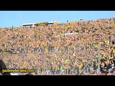 "ESTAN TODOS MUERTOS..." Barra: Barra Amsterdam &bull; Club: Peñarol &bull; País: Uruguay