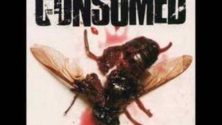 Consumed - Start Living!