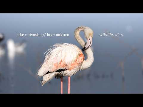 Kenya Safari — Nature with Georgia