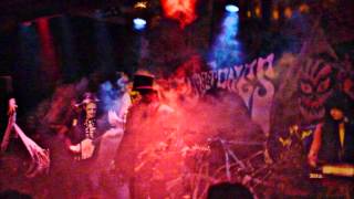 The Fuzztones-Ghost Clinic