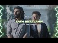 Papa Meri Jaan (Slowed+Reverb) - Sonu Nigam | Kota Lofi