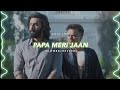Papa Meri Jaan Slowed Reverb Sonu Nigam Kota Lofi