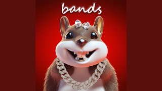 Bands Music Video