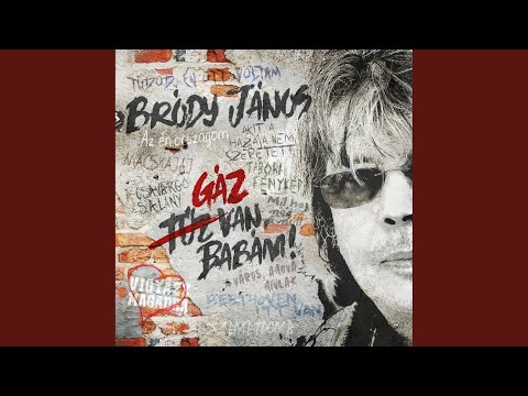 Akit a hazája nem szeretett