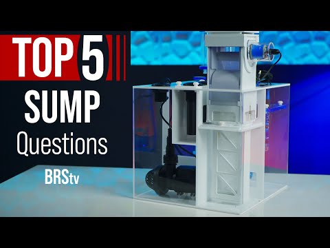 Better Than an Aquarium Canister Filter? Saltwater Tank Sumps & HOW They Work!