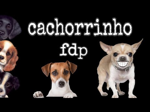 óia o cachorrinho fdp 2021🦮( Oia the puppy dog )
