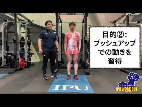 体育学科 IPU Workout プッシュアップホールド