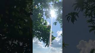 Download lagu தினம்தோறும் “isaignani” இசைபாடு அதை கேட்கும் நெஞ்சமே   சுகம் கோடி காணட்டும் 🤍🎧 #Ilayaraajasongs mp3