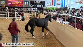 Video af Fridolin 453