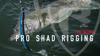 Fox rage pro shad firetails