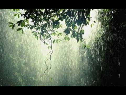 Bao năm gió mưa qua đời Sheet - Công nghệ AI