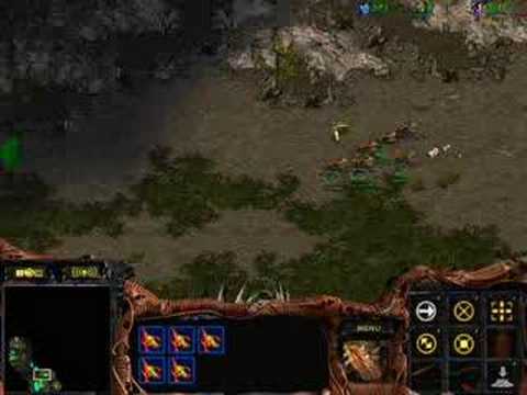 ZvP 9 Overpool Speedling Build