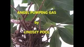 Lindsey Pool - Angel Pumping Gas
