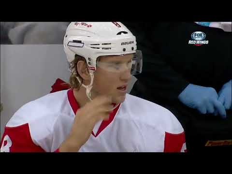 NHL   Dec.06/2013   Detroit Red Wings - New Jersey Devils