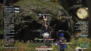 FF14  my  sisterと風邪気味戦士、弓術士上げと、イベントとヒルディーの続きはできたら。