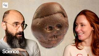 A Paleontology Of The Future