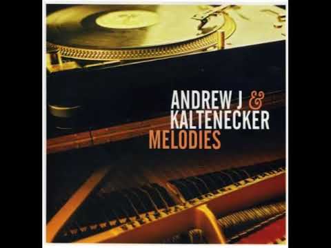 Andrew J & Kaltenecker - Metamorph