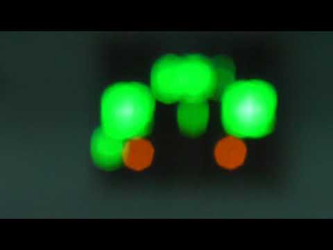 38 КУ 16 тур 5 лига НБХЗ Атлетик Люботин – Grafix